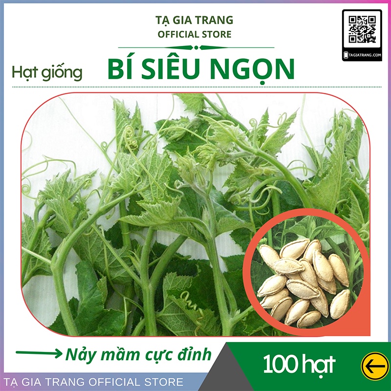 Hạt giống bí siêu ngọn năng suất cao - Shop hạt giống Tạ Gia Trang