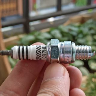 Bugi NGK Iridium - CR7HIX (chân ngắn)