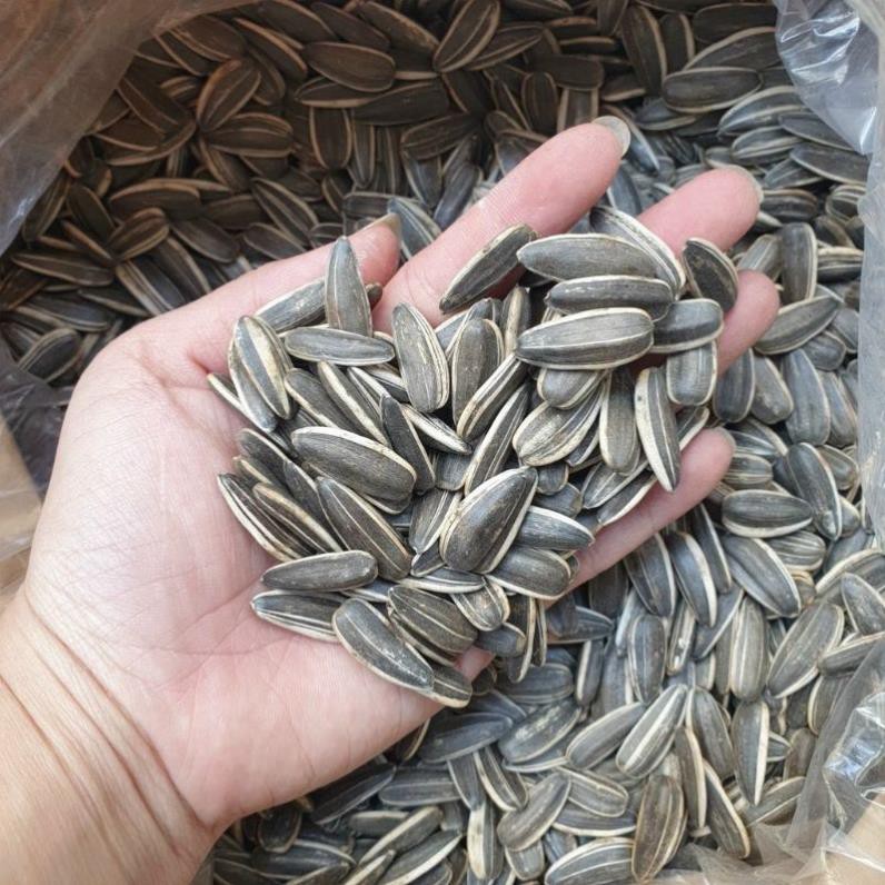 Hạt Hướng Dương Duy Ký  Loại 1 1KG [FREE SHIP] TỪ ĐƠN 50K, [Loại Đặc Biệt] Hàng ngon nhà làm LOẠI 1