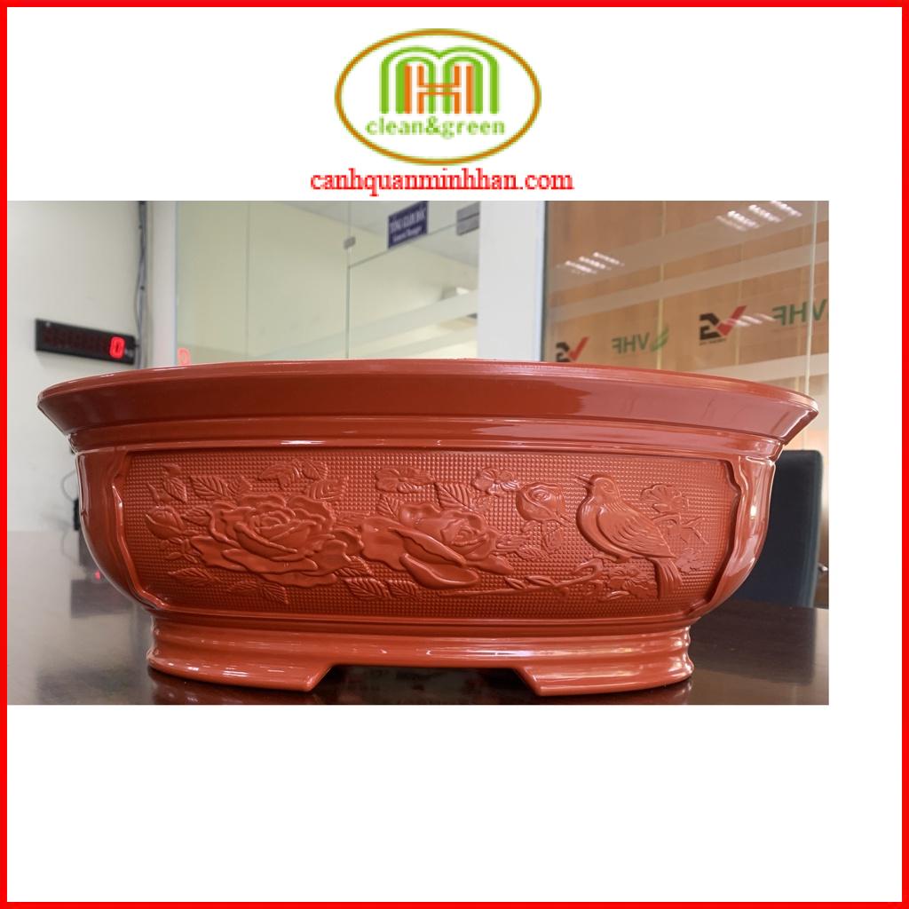 Chậu bonsai mini nhựa, chậu bonsai nhựa hình ovan trồng cây phù hợp cho các loại cây bonsai, cây mini Minh Hân Garden