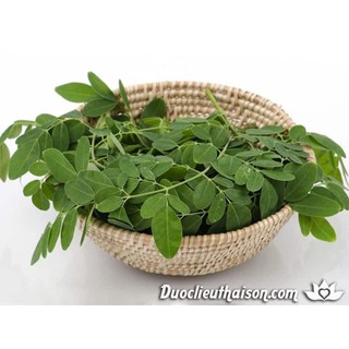 Gói 1g hạt giống Chùm Ngây