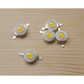 BÓNG LED CHẾ ĐÈN THỦY SINH
