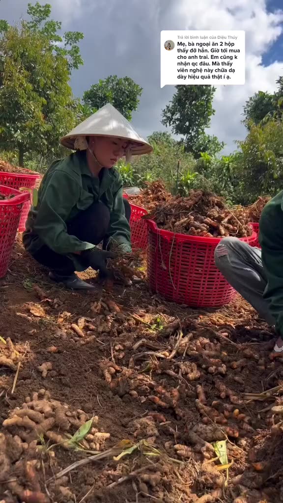 Viên Tinh Nghệ Sữa Ong Chúa NGUYÊN BẢN Thuận Thiên - Viên Mềm Tan Thơm Ngon - Hỗ Trợ Trị Đau Bao Tử, Dạ Dày, Làm Đẹp Da | BigBuy360 - bigbuy360.vn