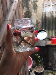 Set Yến Mini 39k