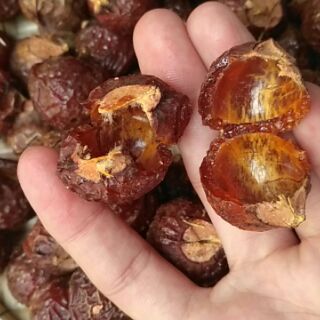 QUẢ BỒ HÒN TÁCH HẠT - TÚI 1.12KG (180k/kg)