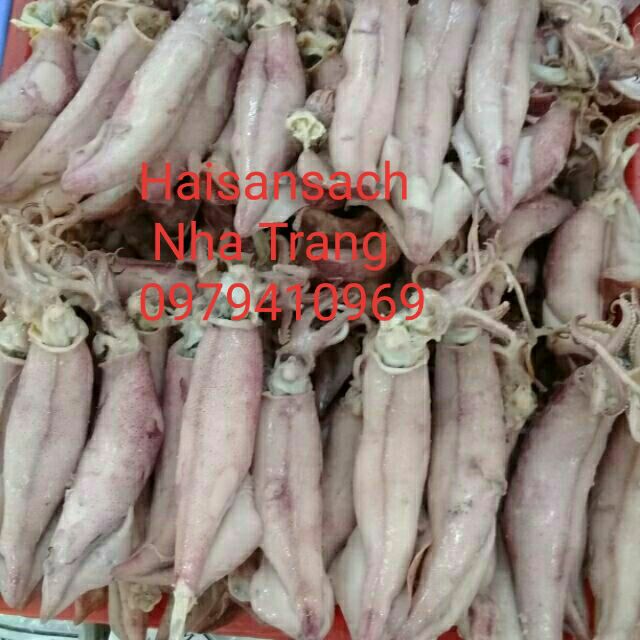 ☞ 200gr Mực hấp Nha Trang - Mực muối hấp - Mực trứng hấp thơm ngon