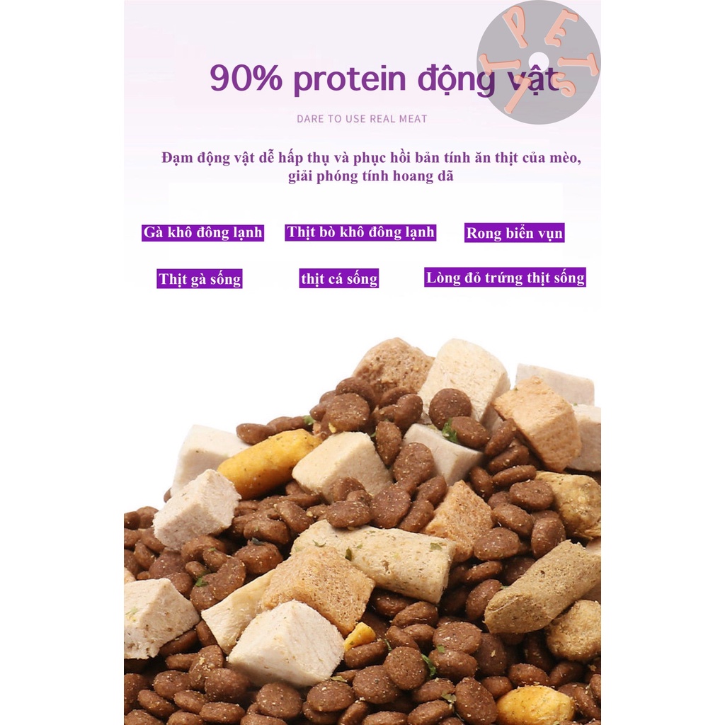 [Bịch 2,5kg] Thức ăn hạt cho mèo FROZEN xanh kèm đông khô hỗ trợ phát triển lông mang, tăng nọng cao cấp - BAO BÌ MỚI