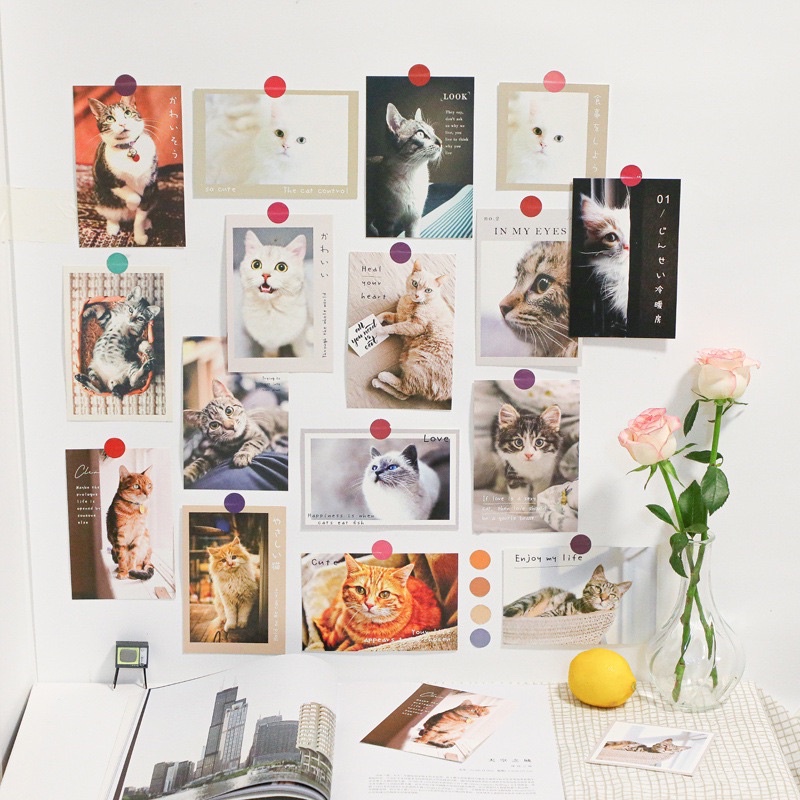 Set 15 ảnh dán tường trang trí phòng, 15 tấm postcard decor phòng hình chó mèo