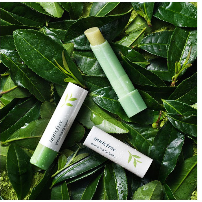 Son dưỡng chiết xuất từ Lá Trà Xanh Innisfree Green Tea Lip Balm