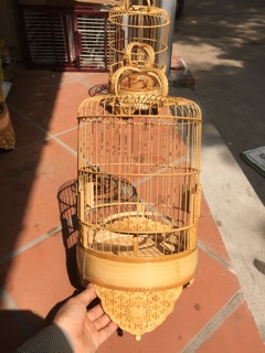 Lồng khuyên đục