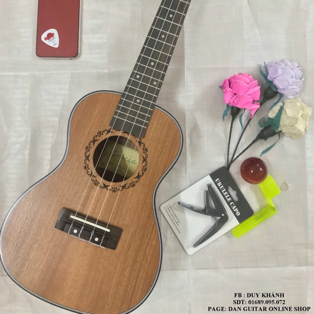 ( MUA 1 TẶNG 5 ) ĐÀN UKULELE CONCERT HOẠ TIẾT VIỀN TRẮNG