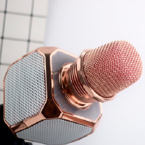 MICRO Karaoke bluetooth micro Không Dây SD10 🔥 FREESHIP 🔥 mic Đa Năng chỉnh giọng tích hợp loa - hàng chính hãng