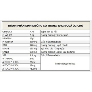NHÂN QUẢ ÓC CHÓ MỸ