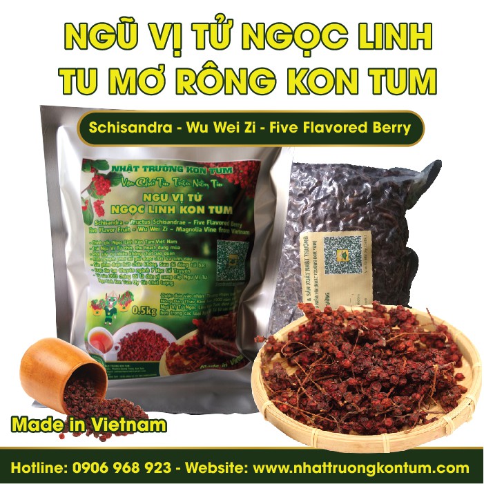 NGŨ VỊ TỬ TU MƠ RÔNG NGỌC LINH KON TUM - SCHISANDRA - TÚI 1KG