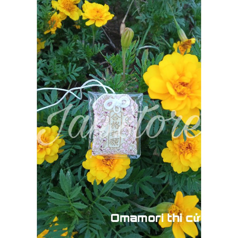 Túi cầu may - Omamori thi cử