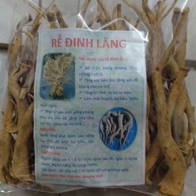 Rễ Đinh Lăng Tươi (Loại Rễ Rời 1kg)