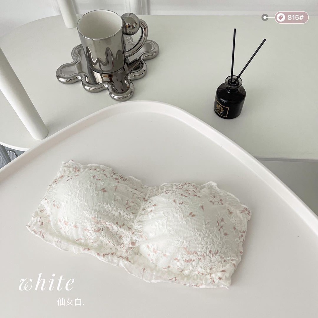 [Xả - dọn kho] Áo lót ngực không dây áo Bra ren vân hoa siêu đẩy ngực chống tụt khóa cài sau Pasana0067