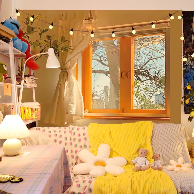 Tấm vải treo tường làm phông nền chụp ảnh cho học sinh