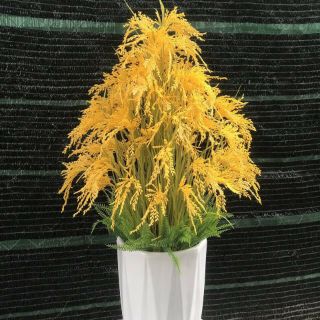 Bông Lúa Giả decor -  Cành lúa vàng trĩu bông nhiều kích thước.