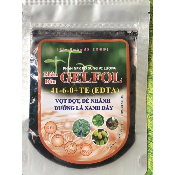 Phân bón GELFOL 41-6-0+TE vọt đọt,đẻ nhánh