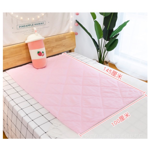 Quà Tặng Gối Mền (HÀNG NHẬP 100%) , Chăn Gối Văn Phòng,Mẫu Trái Cây, Thú Nhồi Bông, Chó, Heo, Mèo