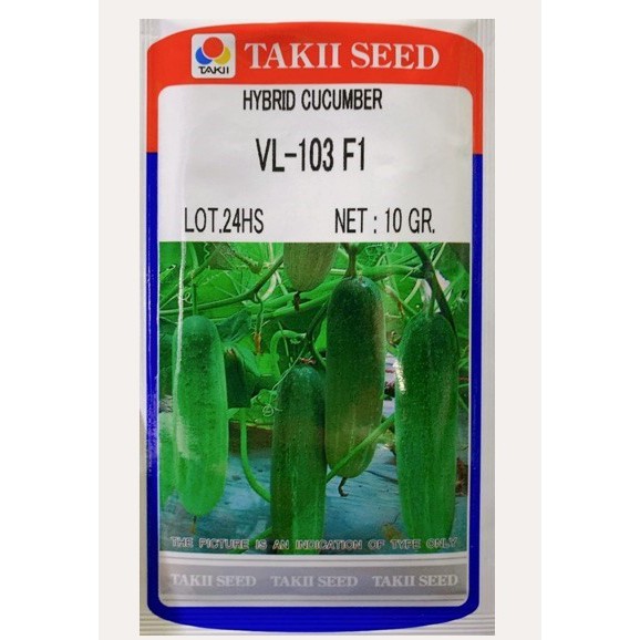 Hạt giống dưa chuột F1 VL_103 (20 hạt rời)