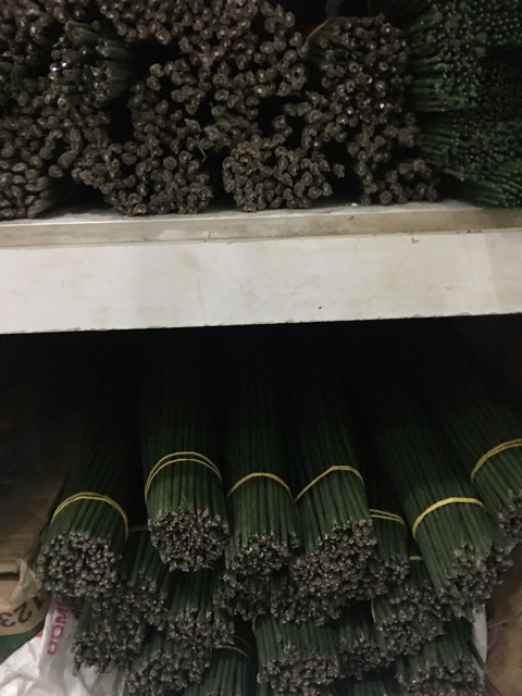 Thân cây lõi théo bọc giấy