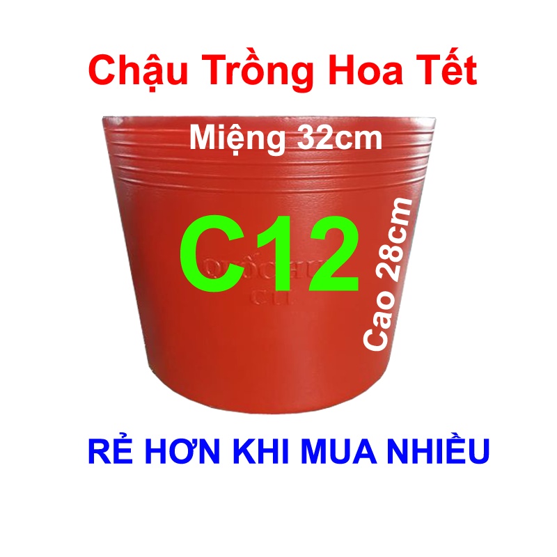 Chậu Nhựa Đỏ C12 Trồng Hoa Tết, Trồng Rau, Trồng Cây Vạn Thọ (32X28Cm)