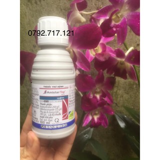 AMISTAR TOP 325SC – THUỐC ĐẶC TRỊ THỐI THÂN- LÁ, THÁN THƯ CỰC MẠNH