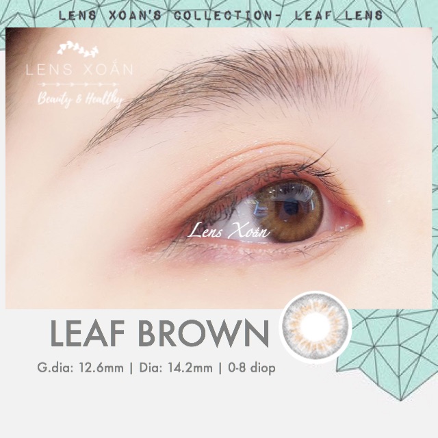 KÍNH ÁP TRÒNG LEAF BROWN: LENS NÂU RÊU ÁNH VÀNG TRONG NHẸ| B.S.COR| LENS XOẮN