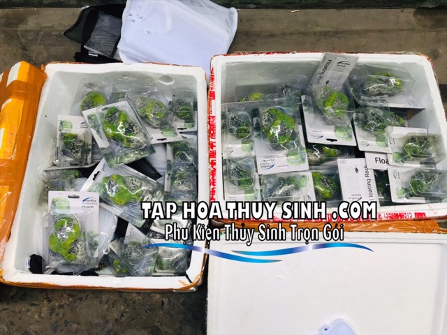 ĐÁ NỔI AVATAR TRANG TRÍ HỒ CÁ