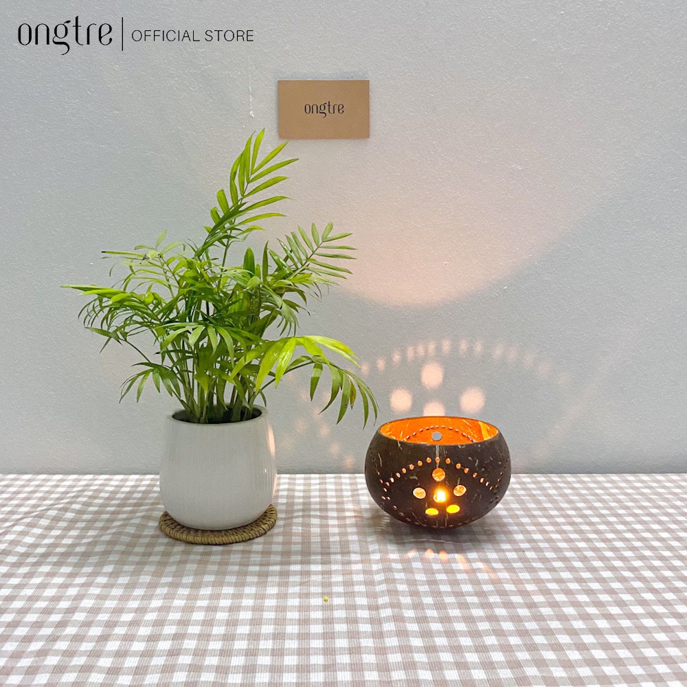 Chén gáo dừa đựng hành tỏi giúp bảo quản chống ẩm, mốc - ONGTRE