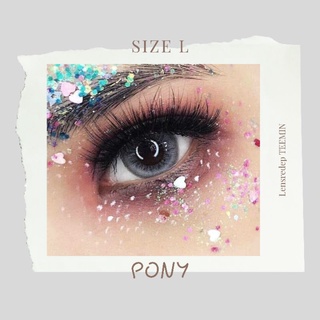 Lens pony gray | giãn - áp