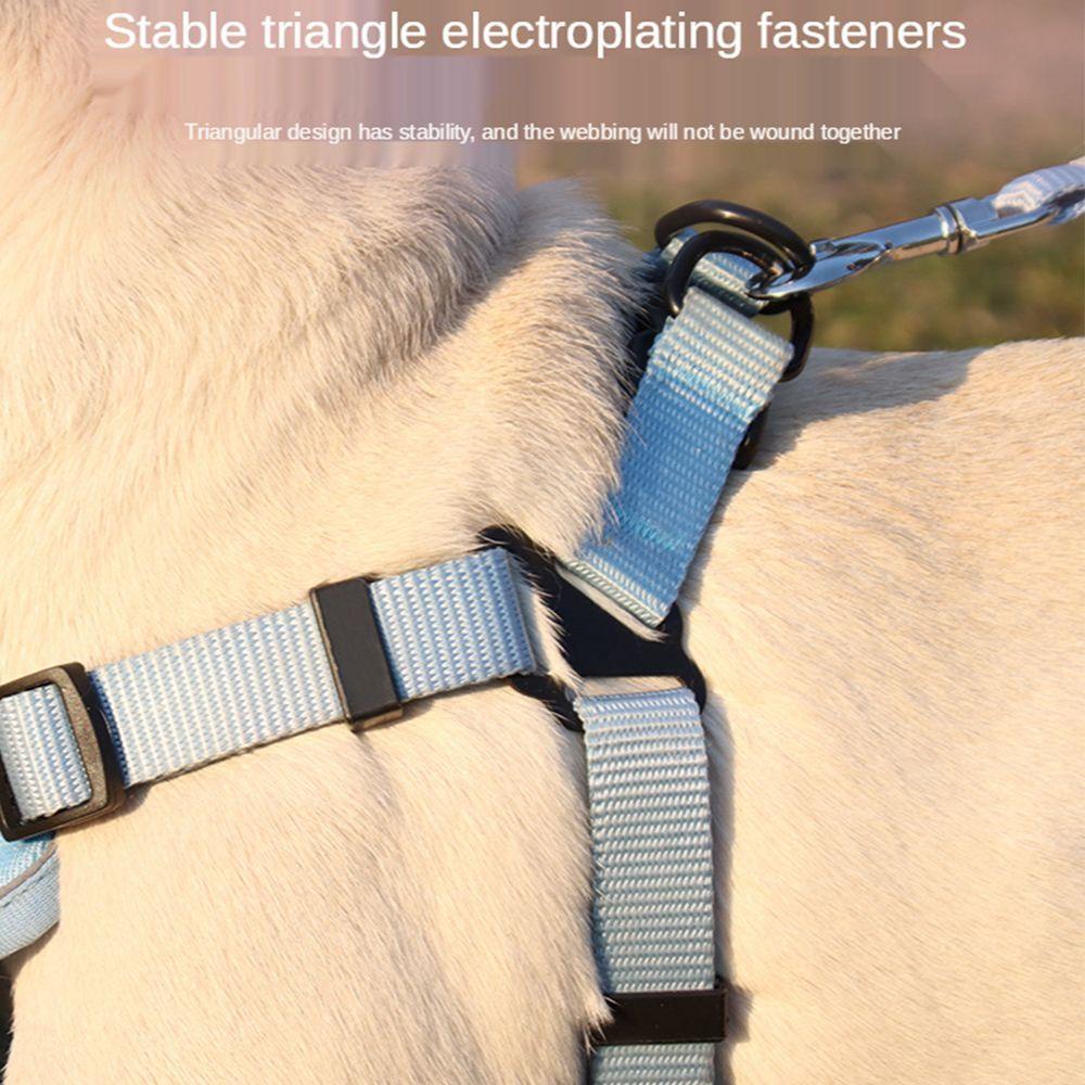 Dây Dắt Thú Cưng Đi Dạo Bằng Lưới Mềm Mại Thoáng Khí Siêu Bền Có Thể Điều Chỉnh