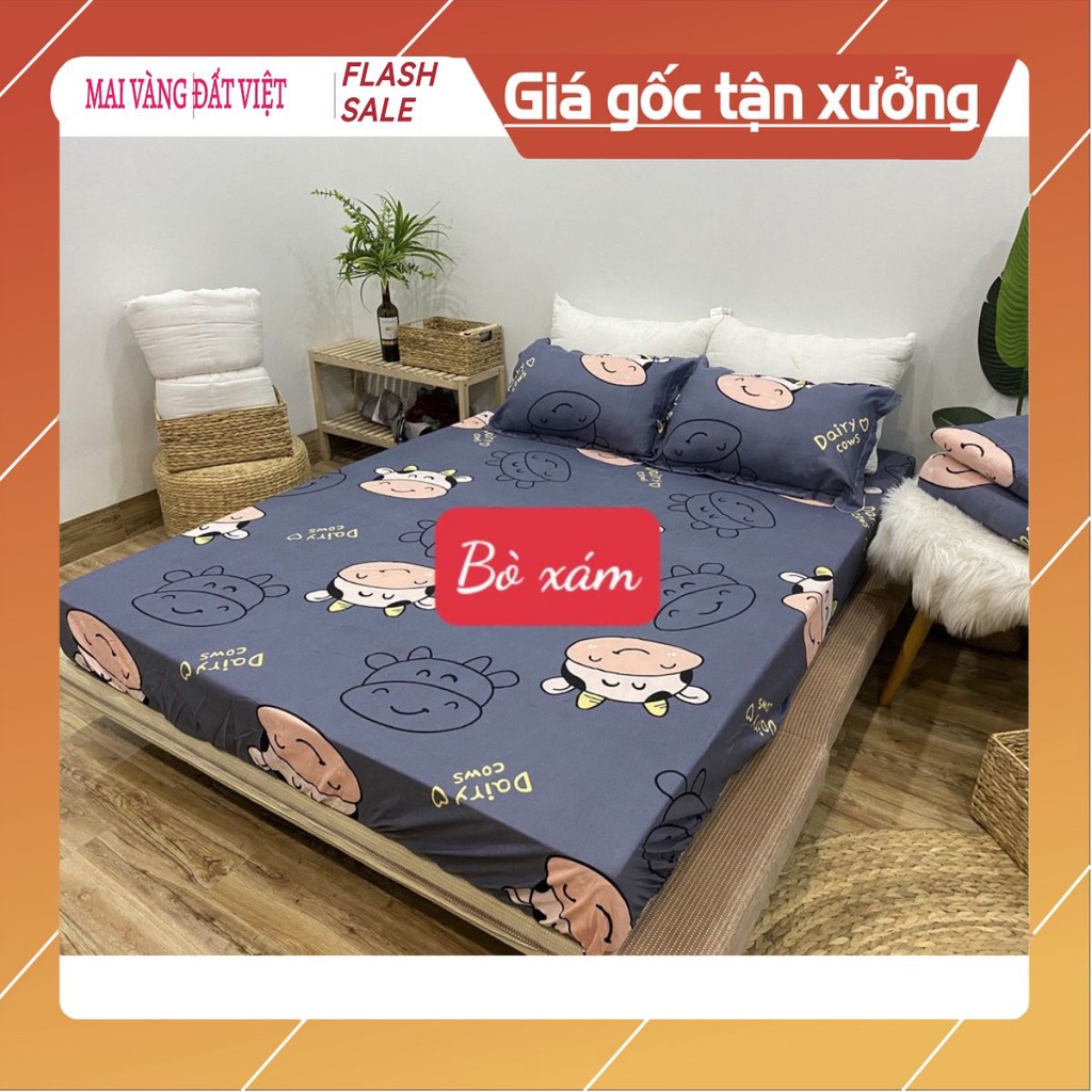 mvdv Bộ ga gối poly 1mx2m,1m2x2m Gấu broww | BigBuy360 - bigbuy360.vn