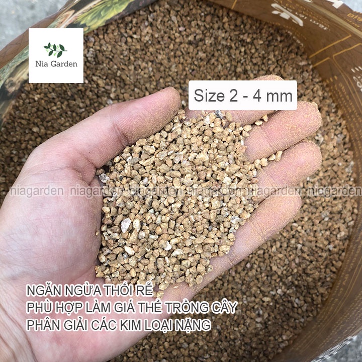 Đá masato giữ màu sen đá rải mặt chậu xương rồng kiểng lá trộn giá thể trồng cây Nia Garden N6