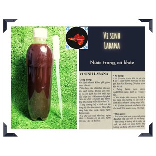 Vi sinh labana - ca khoe nuoc trong- chai 500ml