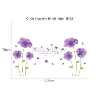 Decal bộ đôi hoa thuỷ tiên tím
