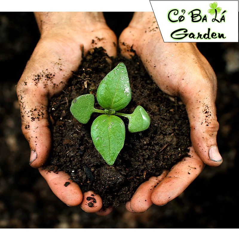 Đất sạch trồng cây, trồng hoa, trồng rau-bao sonamix chiếc lẻ-