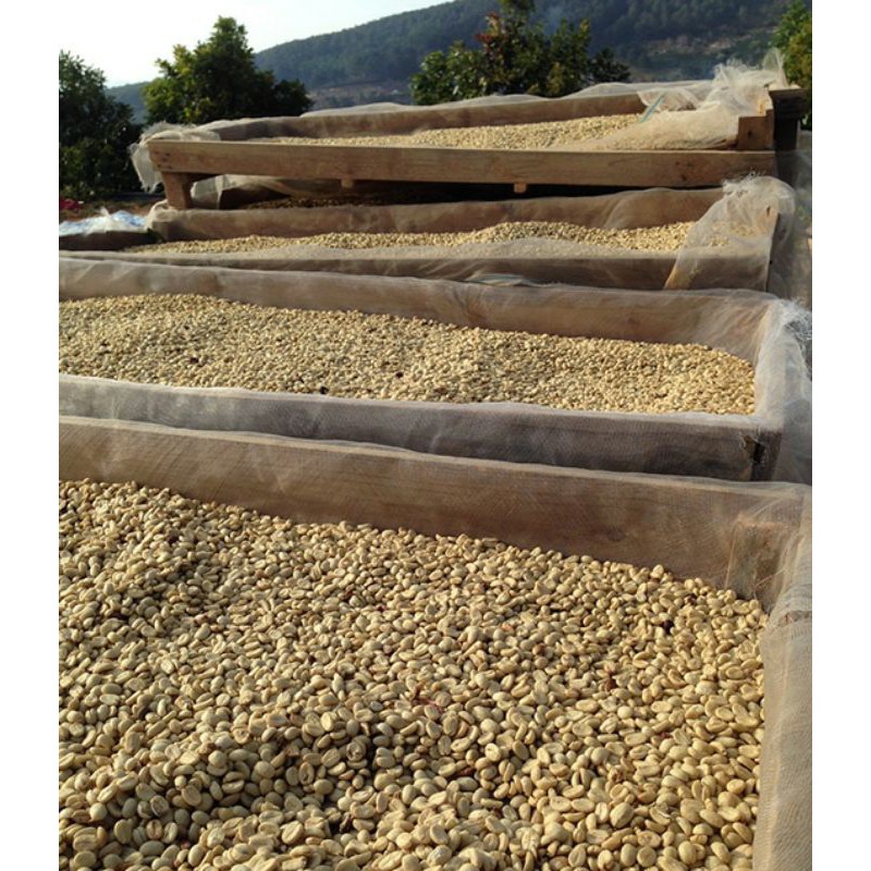 set 10kg cà phê nhân robusta ban mê (không tạp chất)