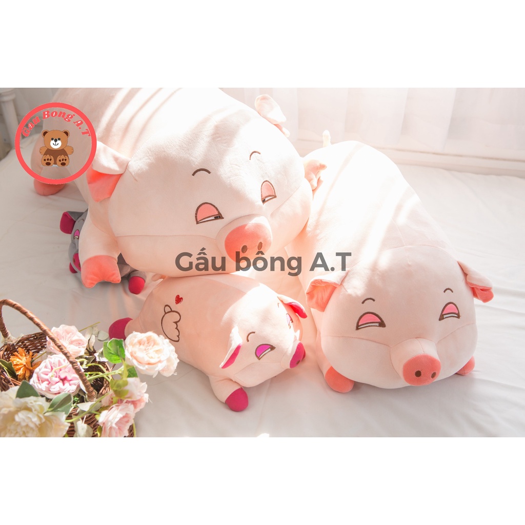 Gấu Bông Lợn NGỦ, Heo Ngủ Siêu Đáng Yêu Cute, Thú Nhồi Bông, Chất Liệu Bông Gòn Cao Cấp (size 40cm-1m2)_AT008