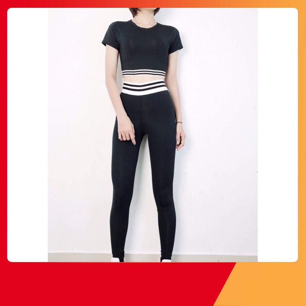 Bộ đồ tập thể thao áo bo line cao cấp logo NX