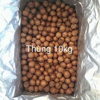 Hạt Macca Úc nứt vỏ tự nhiên (tặng kèm đồ tách)