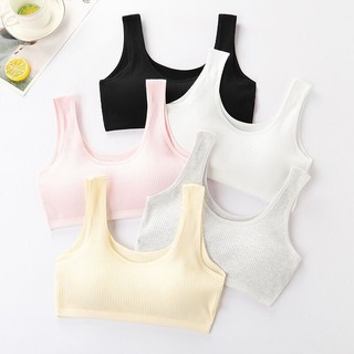 Áo lá học sinh cotton tăm 2 lớp mút mỏng 007