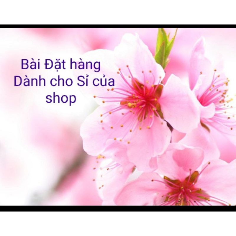 Hoa Đào 🌸🌸 Hộp đựng 10 cái
