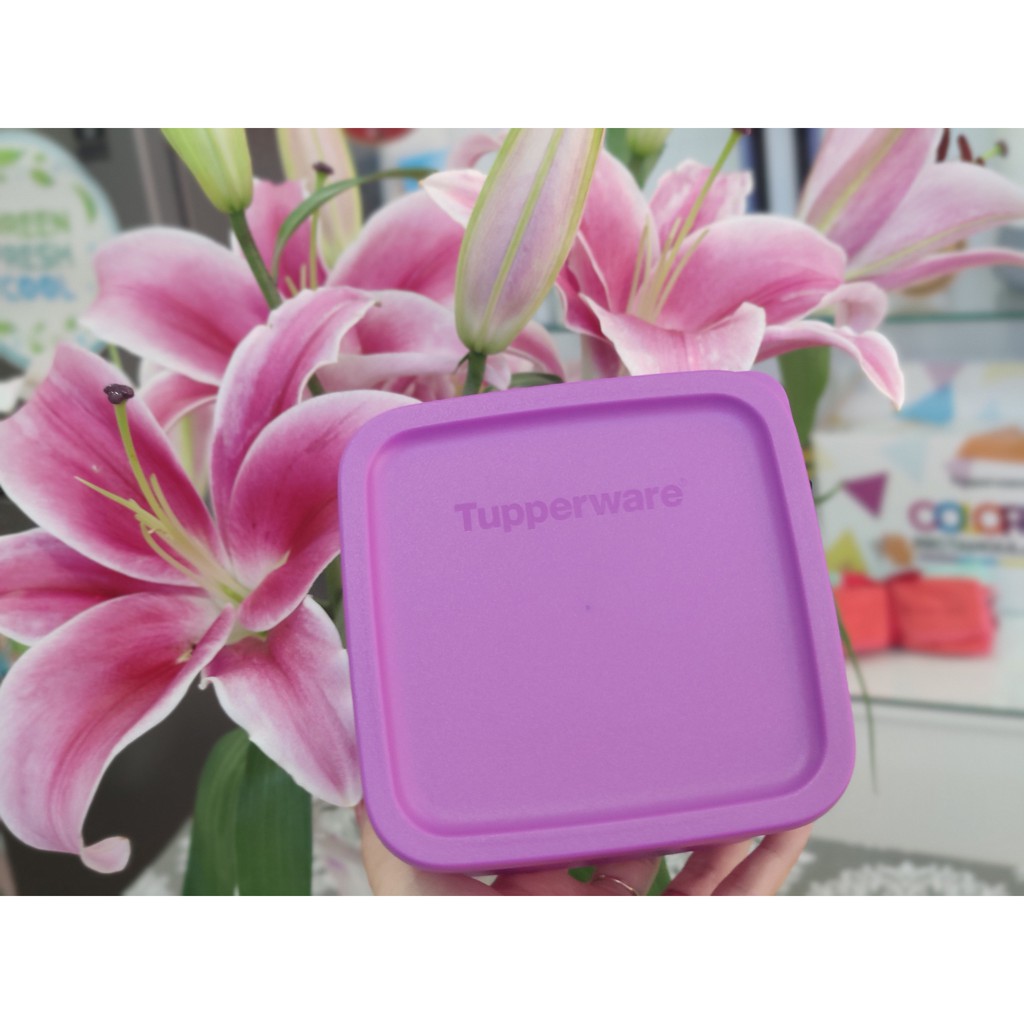 Tupperware Freeship Tupperware trữ mát, trữ khô Small Summer 650ml / Rounstax đa năng