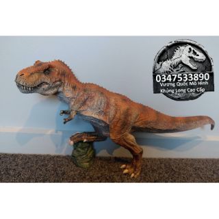 Mô hình khủng long King T-Rex hãng Rebor