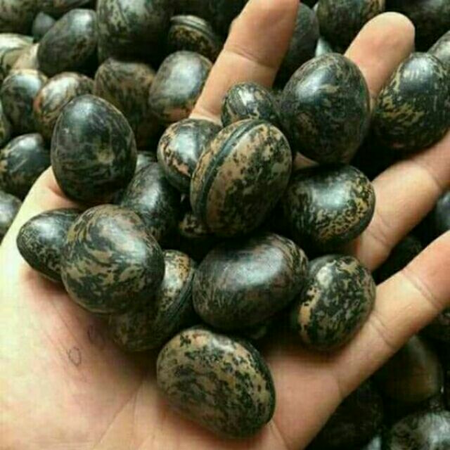 hạt đậu lào 500g -1kg