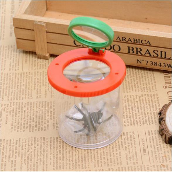 Hộp đựng quan sát côn trùng