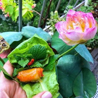 Chả tôm Thanh Hoá